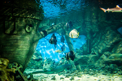aquarium public