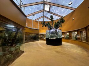 aquarium zoo de Mulhouse