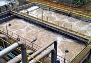 rôle du biofilm dans les biofiltres MBBR
