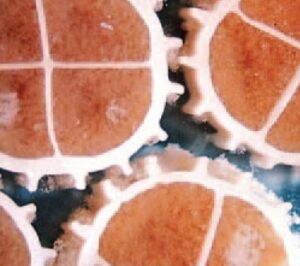 Support biologique Kaldnes colonisé par un biofilm actif : la surface protégée du média offre un habitat favorable au développement des bactéries nitrifiantes responsables de la filtration biologique en système MBBR.