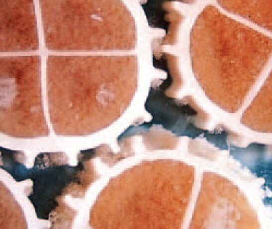 Support biologique Kaldnes colonisé par un biofilm actif : la surface protégée du média offre un habitat favorable au développement des bactéries nitrifiantes responsables de la filtration biologique en système MBBR.