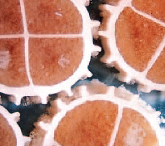 Support biologique Kaldnes colonisé par un biofilm actif : la surface protégée du média offre un habitat favorable au développement des bactéries nitrifiantes responsables de la filtration biologique en système MBBR.