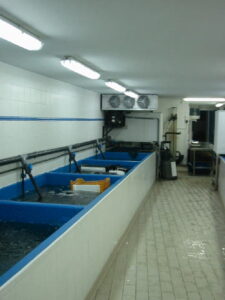 Station de purification des coquillages