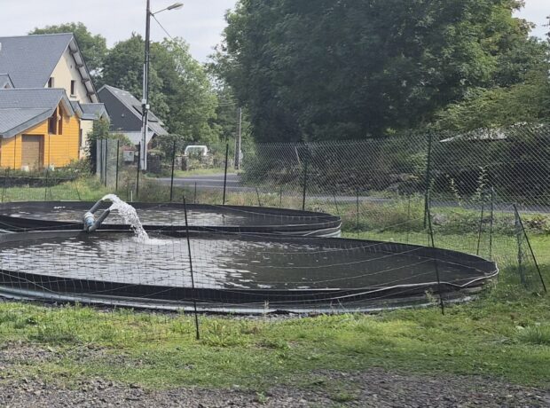 bureau d'études aquaculture et aquariologie