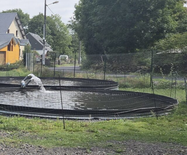 bureau d'études aquaculture et aquariologie