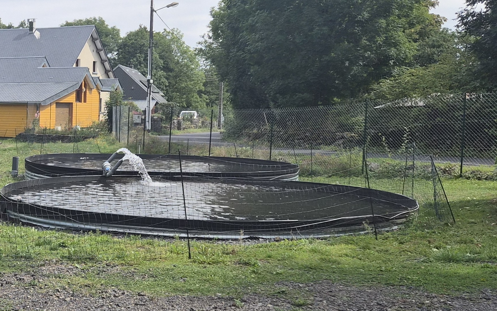 bureau d'études aquaculture et aquariologie